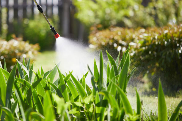 24/7 Emergency Mosquito Control experts in Clintonville, WI