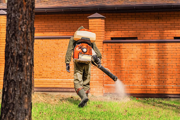 Top rated local Mosquito Control specialists in Clintonville, WI